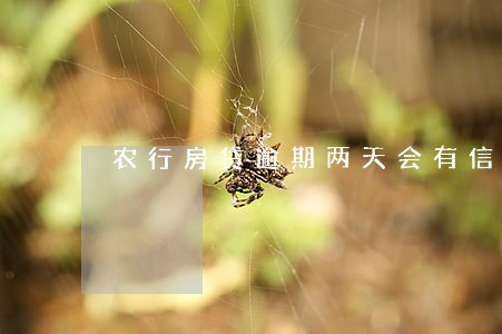 农行房贷逾期两天会有信用不良 农行房贷逾期两天会有信用不良