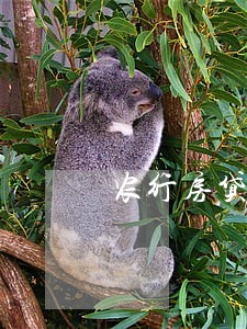 农行房贷逾期后影响信用卡吗 农行房贷逾期后影响信用卡吗