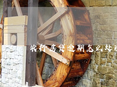 农行房贷逾期怎么处理6 农行房贷逾期怎么处理6