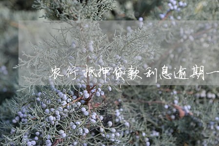农行抵押贷款利息逾期一天 农行抵押贷款利息逾期一天