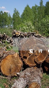农行提前还贷是只还本金吗 农行提前还贷是只还本金吗
