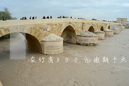 农行有300元逾期十天还款 农行有300元逾期十天还款