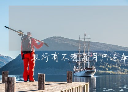 农行有不有每月只还本金的 农行有不有每月只还本金的