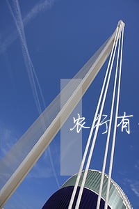 农行有贷款逾期五年 农行有贷款逾期五年