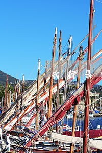 农行果树贷款逾期3天上征信 农行果树贷款逾期3天上征信