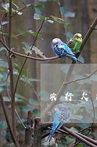 农行欠款3万逾期3个月 农行欠款3万逾期3个月