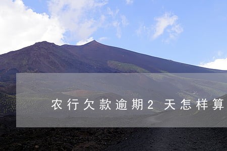 农行欠款逾期2天怎样算罚金 农行欠款逾期2天怎样算罚金