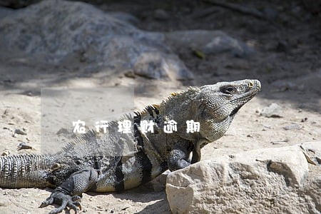 农行理财逾期 农行理财逾期