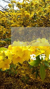 农行的信用卡逾期是几天 农行的信用卡逾期是几天