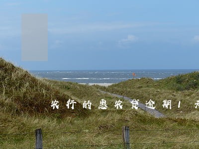 农行的惠农贷逾期1天还能贷吗 农行的惠农贷逾期1天还能贷吗