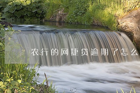农行的网捷贷逾期了怎么办 农行的网捷贷逾期了怎么办