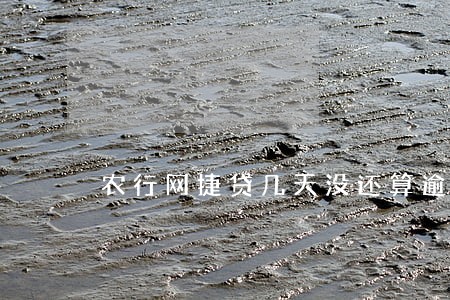 农行网捷贷几天没还算逾期 农行网捷贷几天没还算逾期
