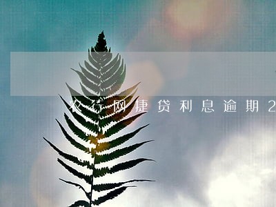 农行网捷贷利息逾期2天 农行网捷贷利息逾期2天