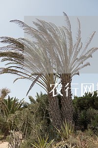 农行网捷贷利息逾期了 农行网捷贷利息逾期了
