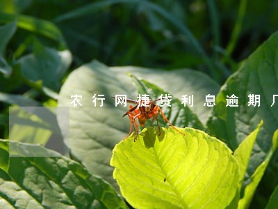 农行网捷贷利息逾期几天 农行网捷贷利息逾期几天