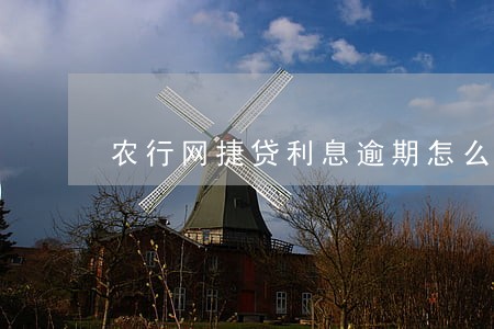农行网捷贷利息逾期怎么还 农行网捷贷利息逾期怎么还
