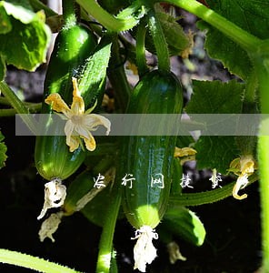 农行网捷贷多久算逾期 农行网捷贷多久算逾期