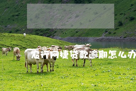 农行网捷贷款逾期怎么办
