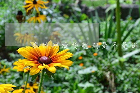农行网捷贷超期是不是逾期