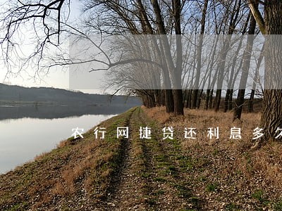 农行网捷贷还利息多久是逾期 农行网捷贷还利息多久是逾期