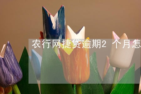 农行网捷贷逾期2个月怎么办 农行网捷贷逾期2个月怎么办