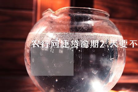 农行网捷贷逾期2天要不要紧 农行网捷贷逾期2天要不要紧