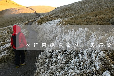 农行网捷贷逾期一天还款 农行网捷贷逾期一天还款