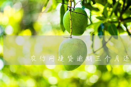 农行网捷贷逾期三个月还款 农行网捷贷逾期三个月还款