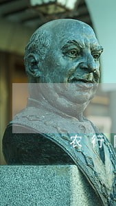 农行网捷贷逾期两个月