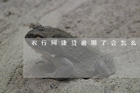 农行网捷贷逾期了会怎么样 农行网捷贷逾期了会怎么样