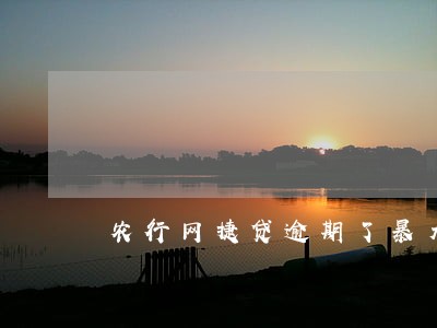 农行网捷贷逾期了暴力催收 农行网捷贷逾期了暴力催收