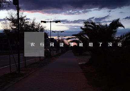 农行网捷贷逾期了没还