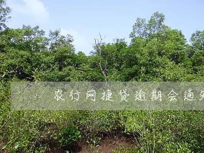 农行网捷贷逾期会通知单位吗 农行网捷贷逾期会通知单位吗