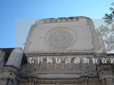 农行网捷贷逾期催收通知书 农行网捷贷逾期催收通知书