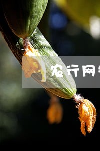 农行网捷贷逾期半年还可以借嘛 农行网捷贷逾期半年还可以借嘛