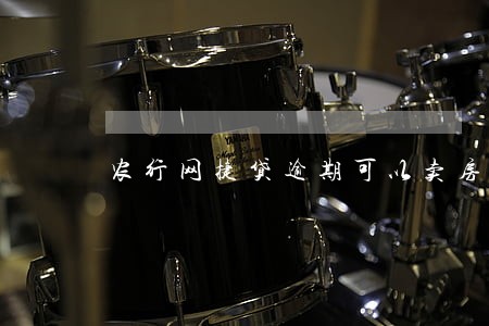 农行网捷贷逾期可以卖房子吗 农行网捷贷逾期可以卖房子吗