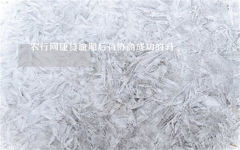 农行网捷贷逾期后有协商成功的吗