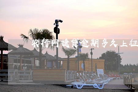 农行网捷贷逾期多久上征信 农行网捷贷逾期多久上征信