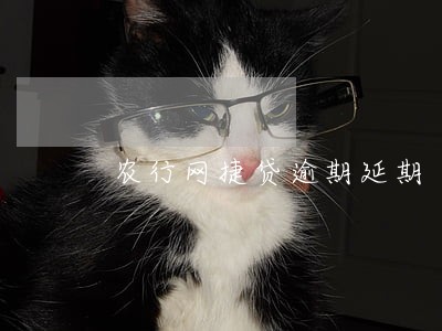 农行网捷贷逾期延期 农行网捷贷逾期延期