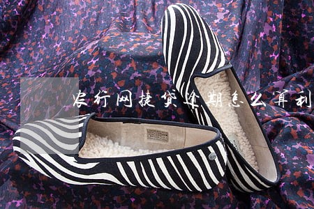 农行网捷贷逾期怎么算利息 农行网捷贷逾期怎么算利息