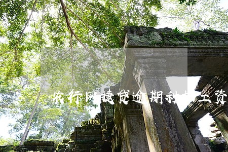 农行网捷贷逾期秒扣工资怎么解决 农行网捷贷逾期秒扣工资怎么解决