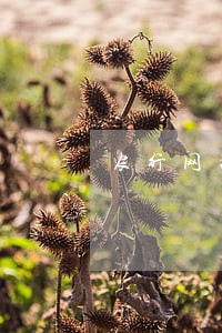 农行网捷贷逾期罚息 农行网捷贷逾期罚息