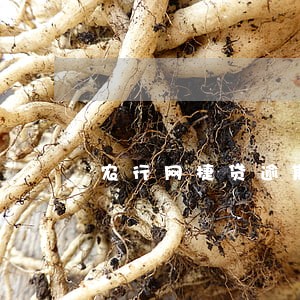 农行网捷贷逾期被起诉的后果 农行网捷贷逾期被起诉的后果