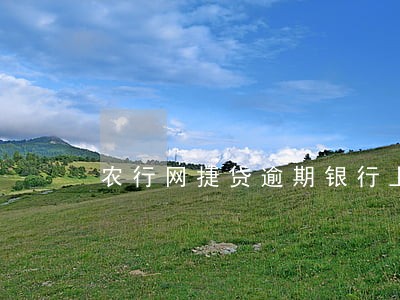 农行网捷贷逾期银行上不上门 农行网捷贷逾期银行上不上门