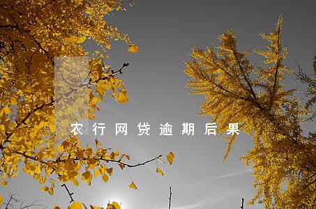 农行网贷逾期后果 农行网贷逾期后果