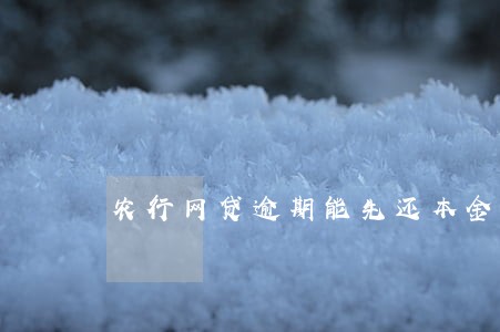 农行网贷逾期能先还本金吗 农行网贷逾期能先还本金吗
