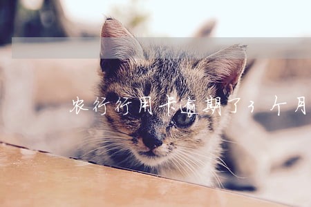 农行行用卡逾期了3个月 农行行用卡逾期了3个月