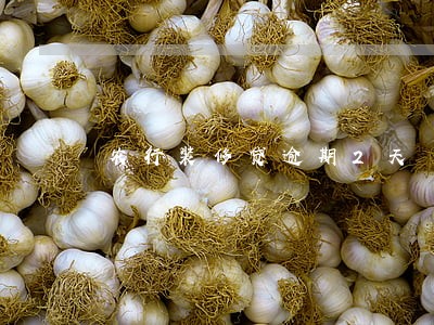 农行装修贷逾期2天 农行装修贷逾期2天