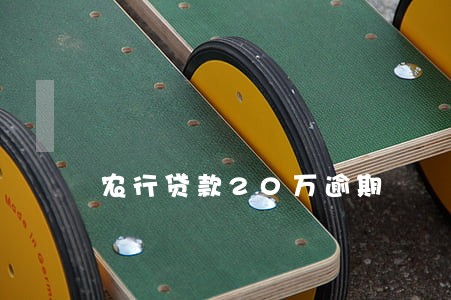 农行贷款20万逾期 农行贷款20万逾期