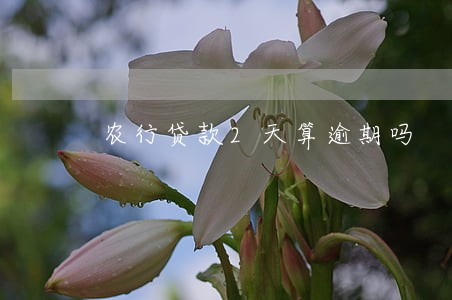 农行贷款2天算逾期吗 农行贷款2天算逾期吗